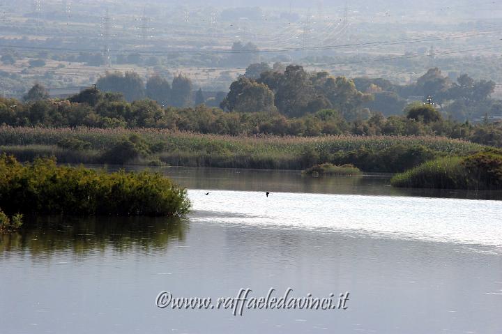 11.5.2011 Saline di Priolo con Antonella (297).jpg